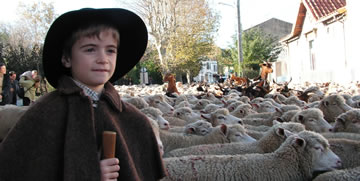 La Provenza dei pastori a Istres